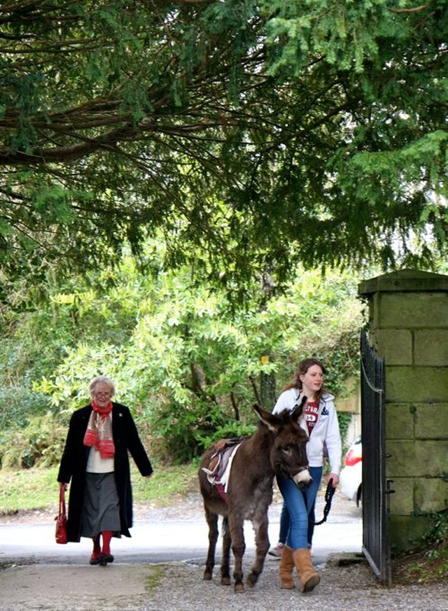 Howard the donkey is escorted into the churchyard of Killiskey Parish Church in Ashford for the Palm Sunday Service. 