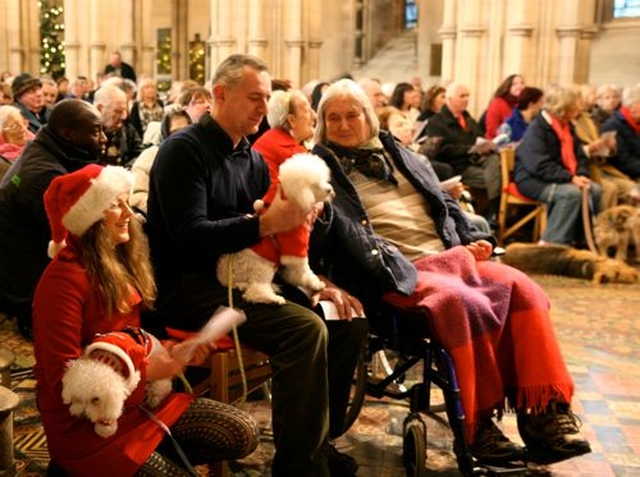 Members of the congregation at the Peata Carol Service in Christ Church Cathedral. 