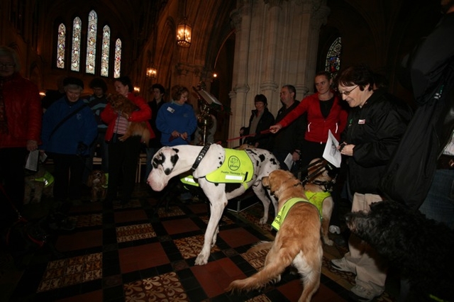 Dogs and masters at the Peata Service in Christ Church Cathedral.