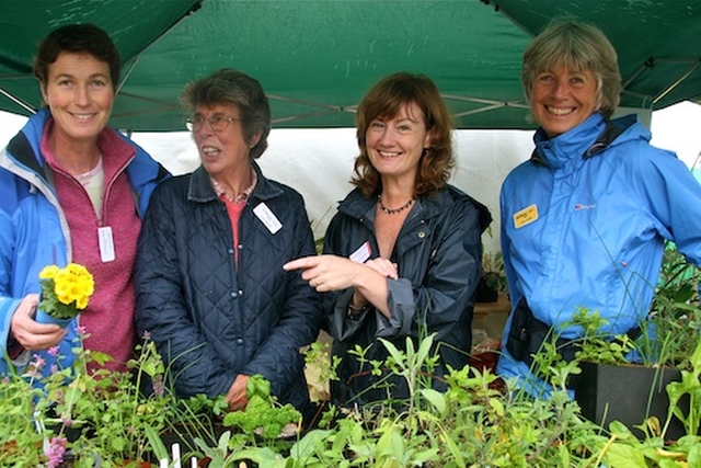 Sue White, Sheila Dempster, Jill Allen and Sarah Tilson manning the plant stall.