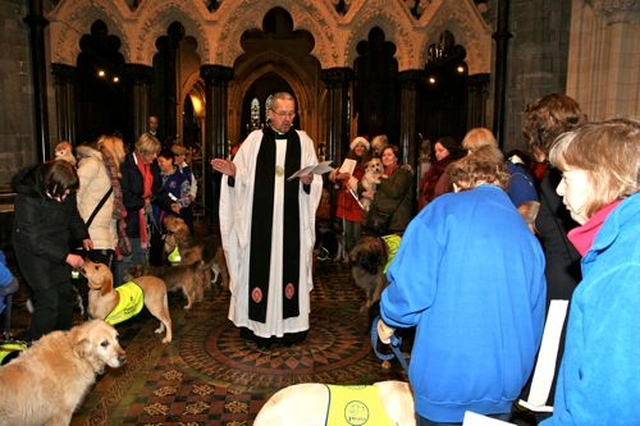 Dozens of dogs came forward for a pet blessing given by Dean Dermot Dunne at the annual Peata Carol Service in Christ Church Cathedral. 