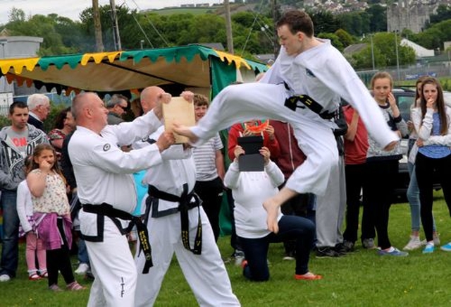 Taekwondo experts show off their skills at Wicklow Parish Fete which took place in East Glendalough School. 