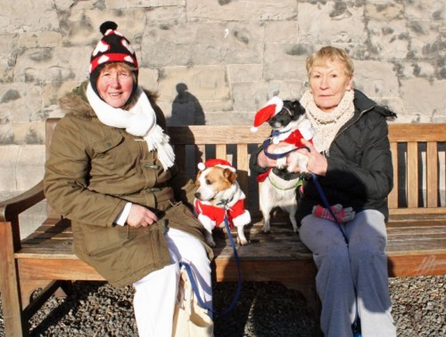 Carmel Maher with Bobbie and Ann Gahan with Gipsy at the Christ Church Cathedral Charity Carol Service in aid of Peata – Providing a Pet Therapy Service to caring institutions in Dublin,
