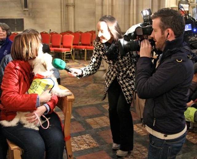 One of the Peata dogs is interviewed by Sharon Gaffney of RTE at the Peata Carol Service in Christ Church Cathedral. 