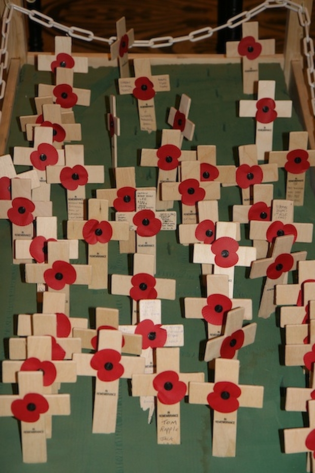 Crosses to remember the fallen at the Armistice Day Service, St Ann's Church, Dawson St.