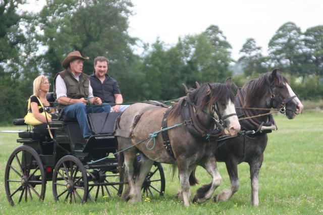 Old Style transport at a parish fete in Co Wicklow.