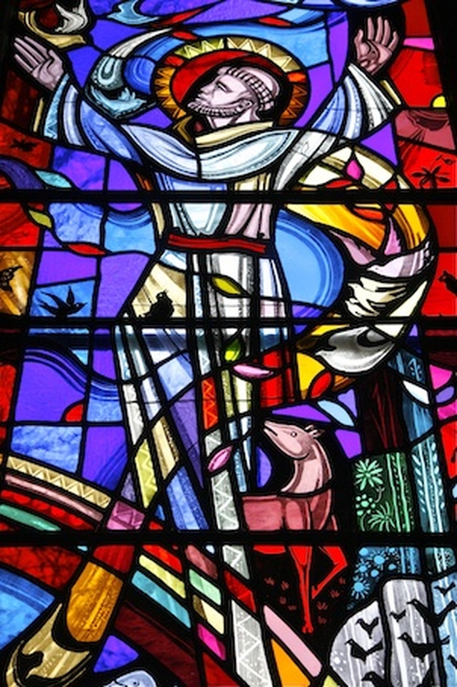 St Francis depicted in the new stained glass window in Sandford Parish Church. The window is in memory of the Threlfall family. 