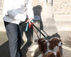 Amanda Dunne with Elliott and Millie at the Christ Church Cathedral Charity Carol Service in aid of Peata – Providing a Pet Therapy Service to caring institutions in Dublin,
