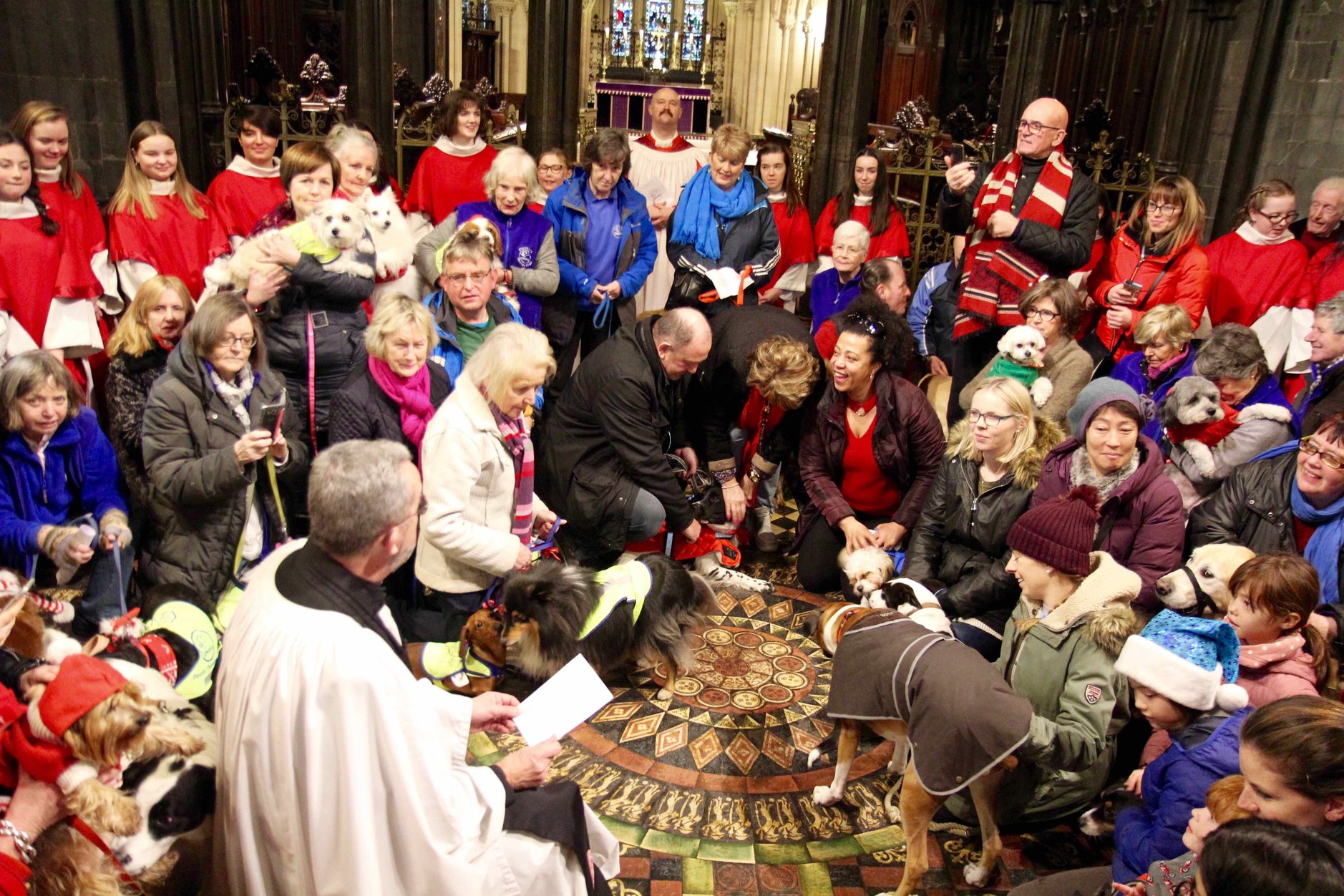 Peata Therapy Dog Carol Service 2018