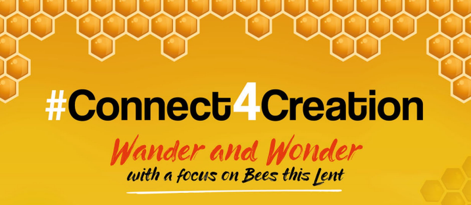 Wander and wonder with #Connect4Creation – Bishops’ Appeal Lent 2021 Project