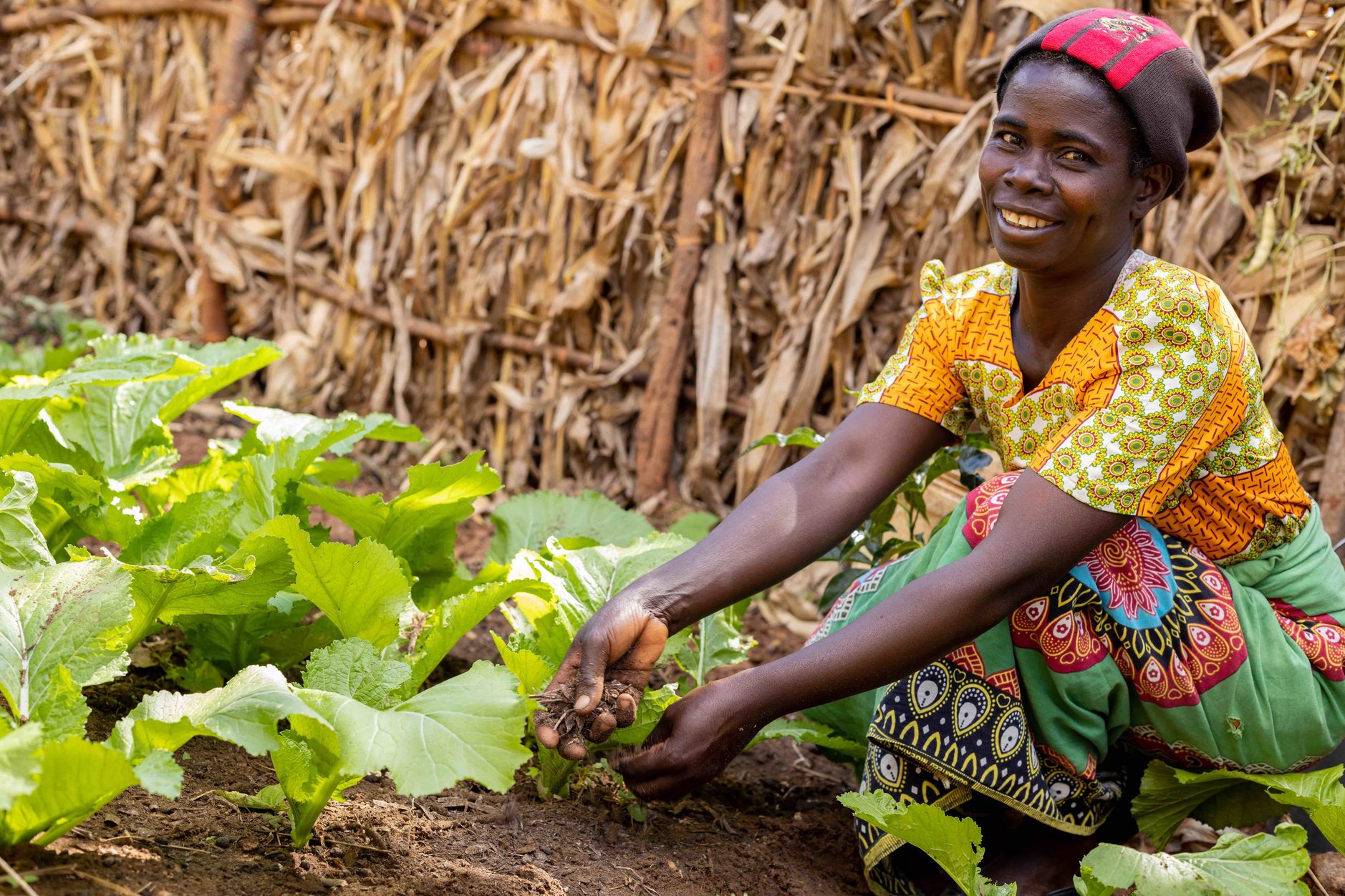 This Christmas, share the joy of a plate piled high – Christian Aid - The climate crisis has increased the risk of hunger during Malawi’s annual lean season but mother–of–five Fyness Tembo is able to weather the storm, thanks to a Christian Aid project.