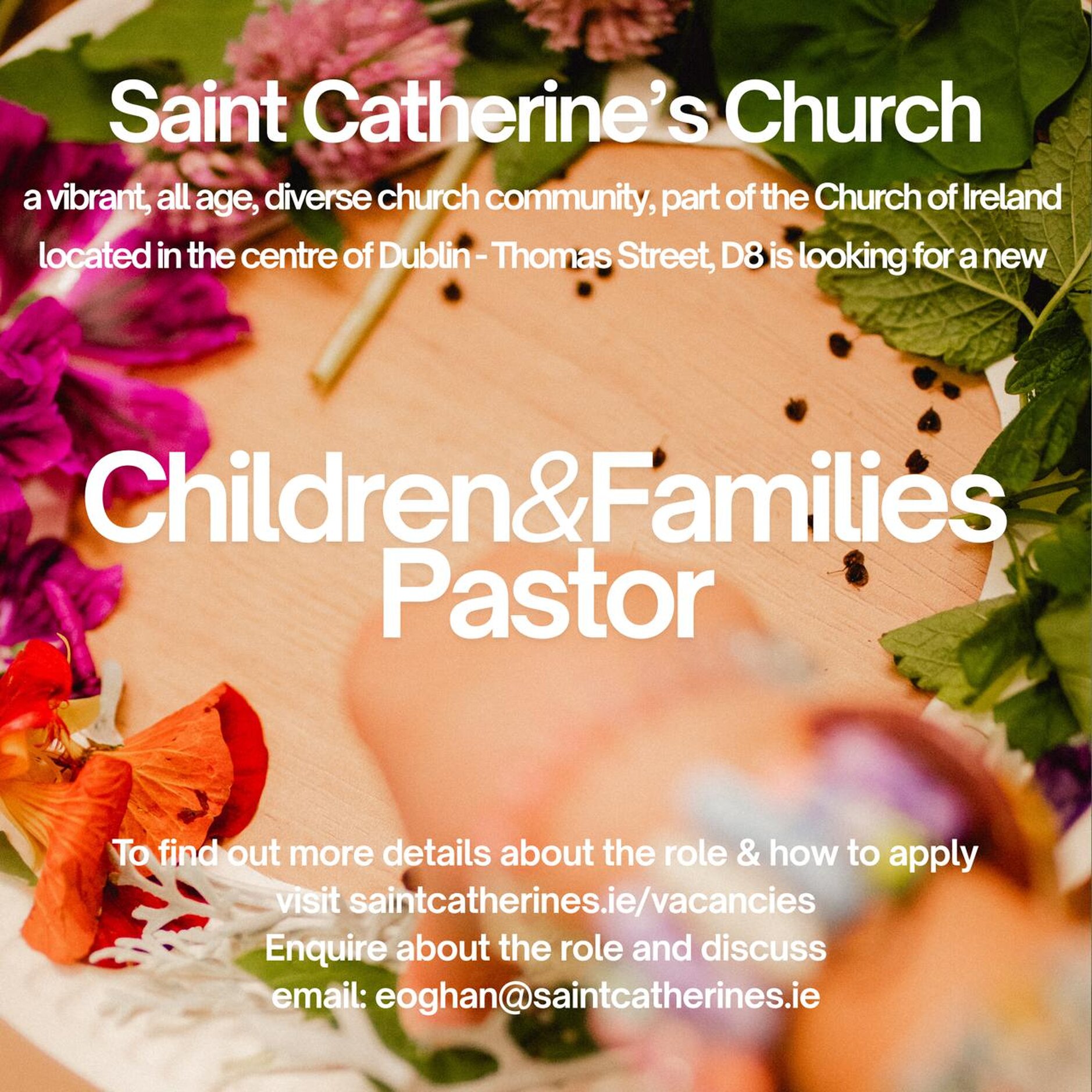 Vacancy – Children and Families Pastor – St Catherine’s Church, Thomas Street - Saint Catherine’s Church, a vibrant, all age and diverse community, located in the centre of Dublin is looking for a new Children & Families Pastor. To find out more about the role and how to apply visit www.saintcatherines.ie/vacancies 
