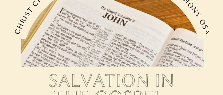 Lent Course – Salvation in the Gospel of John - Image