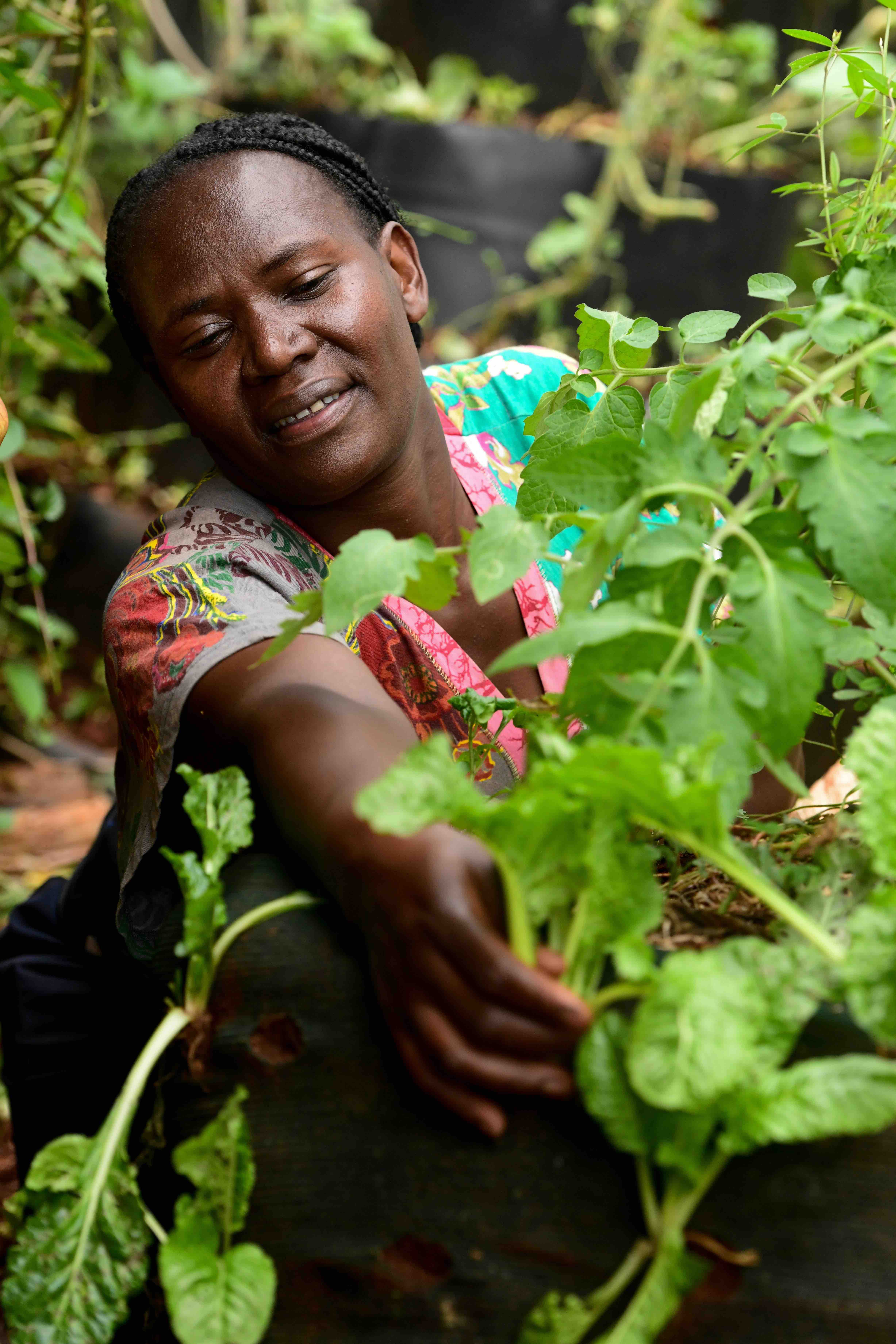 Fridah growing vegetables on her city plot. Credit: Christian Aid/David Macharia