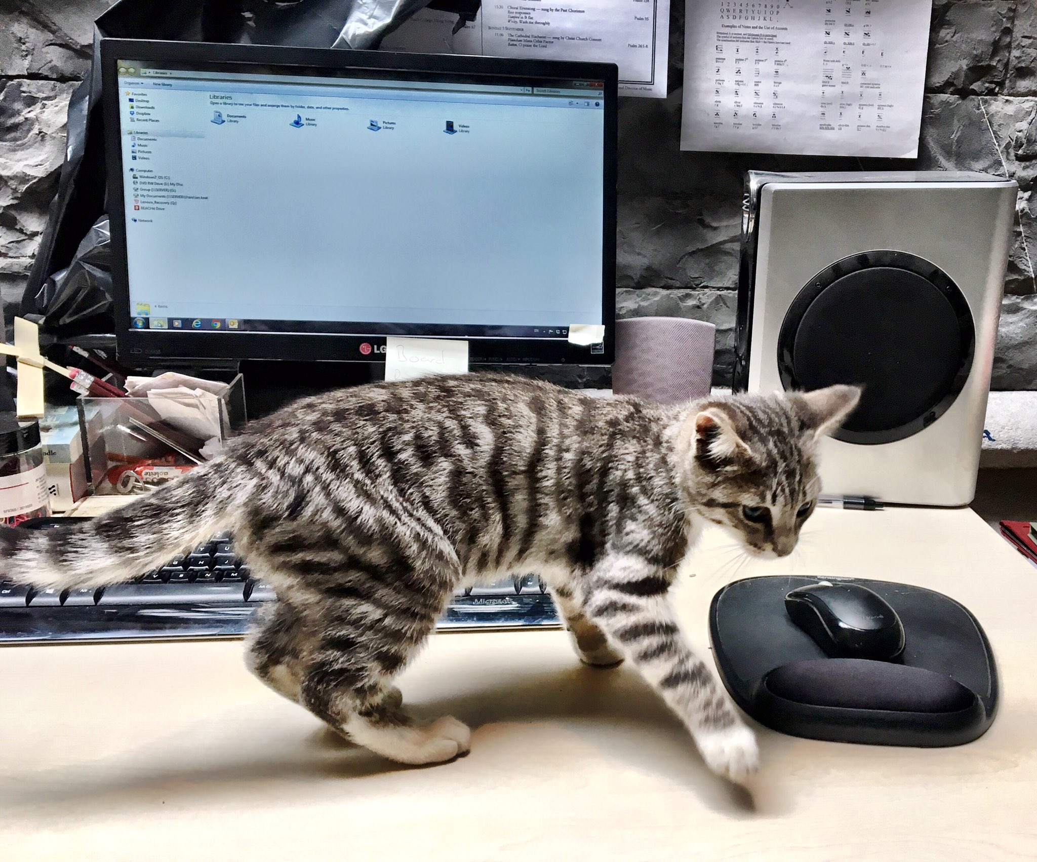 Laurence Magnificat exploring the office in Christ Church