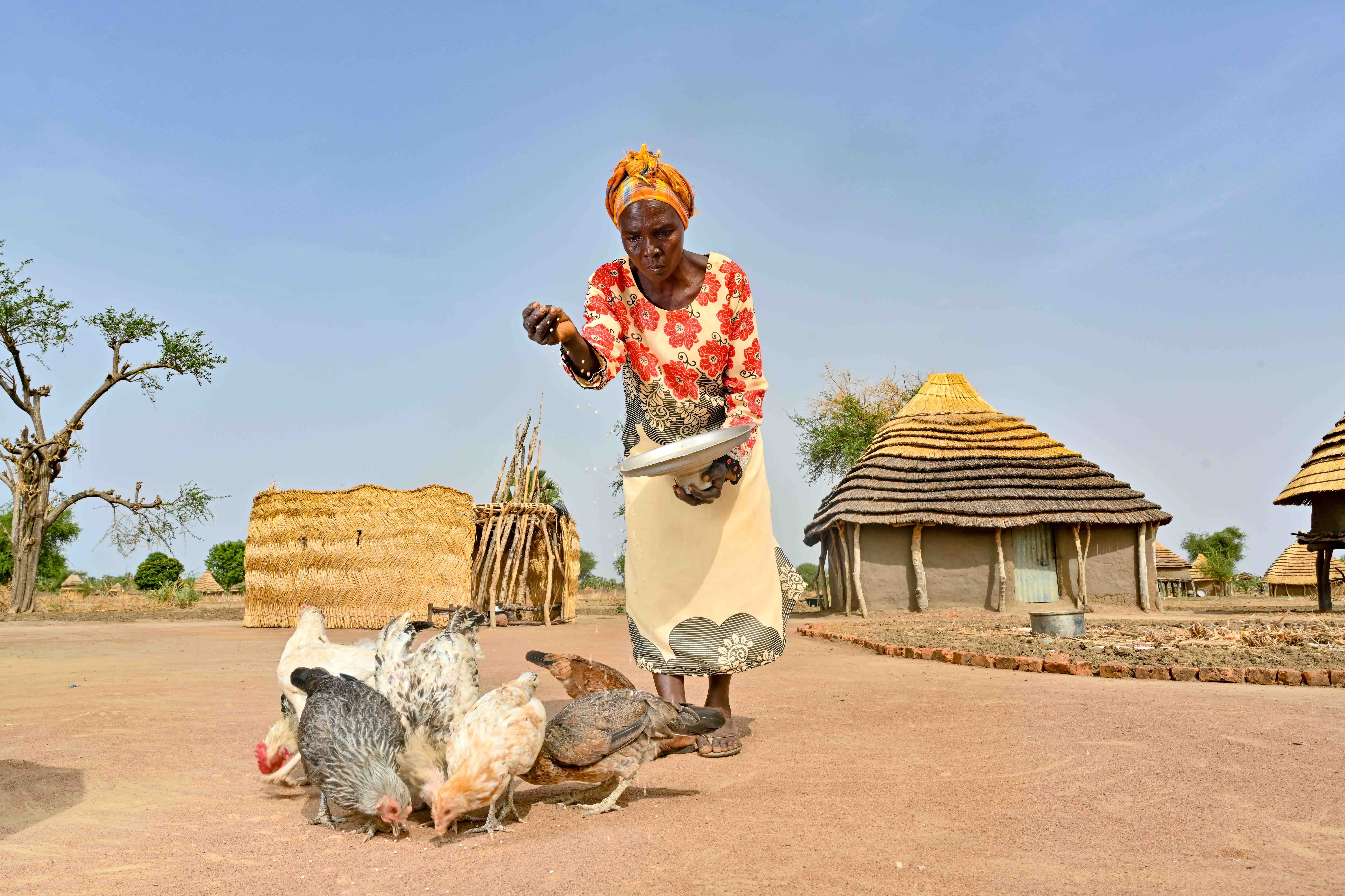 Anok rears chickens which she sells to bring in a much-needed income. She uses the money to cover her children's school costs. Credit: Christian Aid/David Macharia