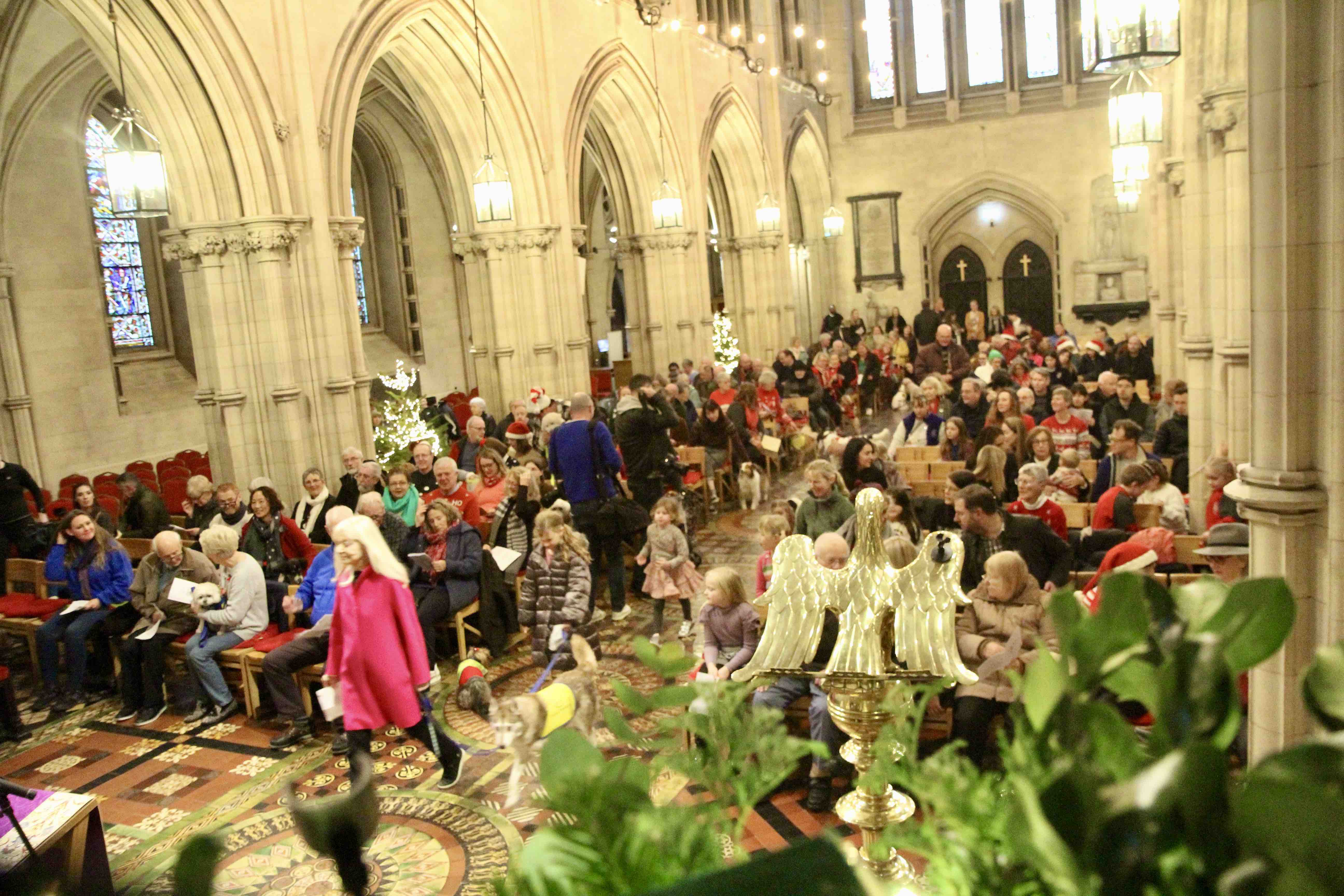 The congregation at the Peata Carol Service.