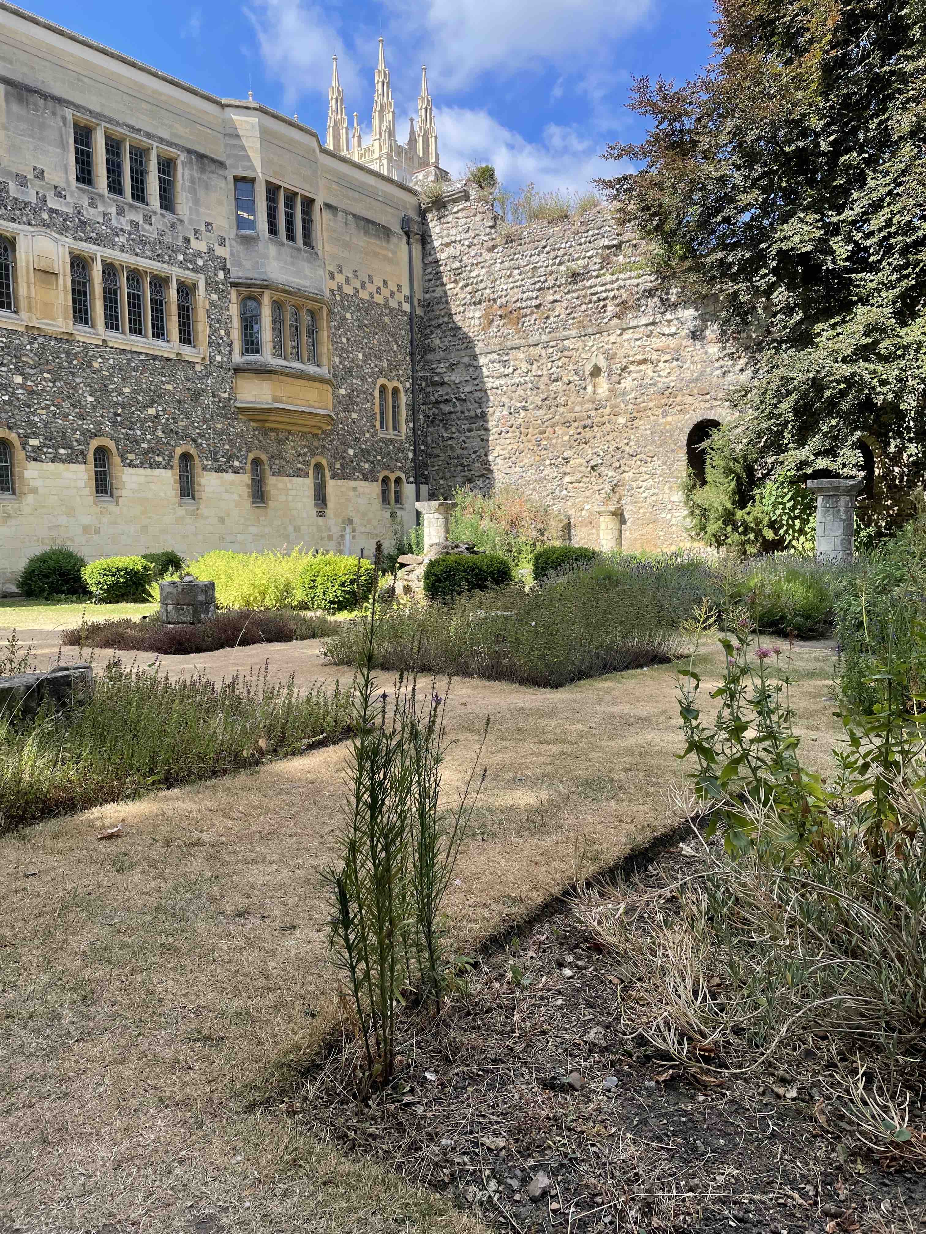 The garden at Canterbury Cathedral - ideal for solitude and time with God.