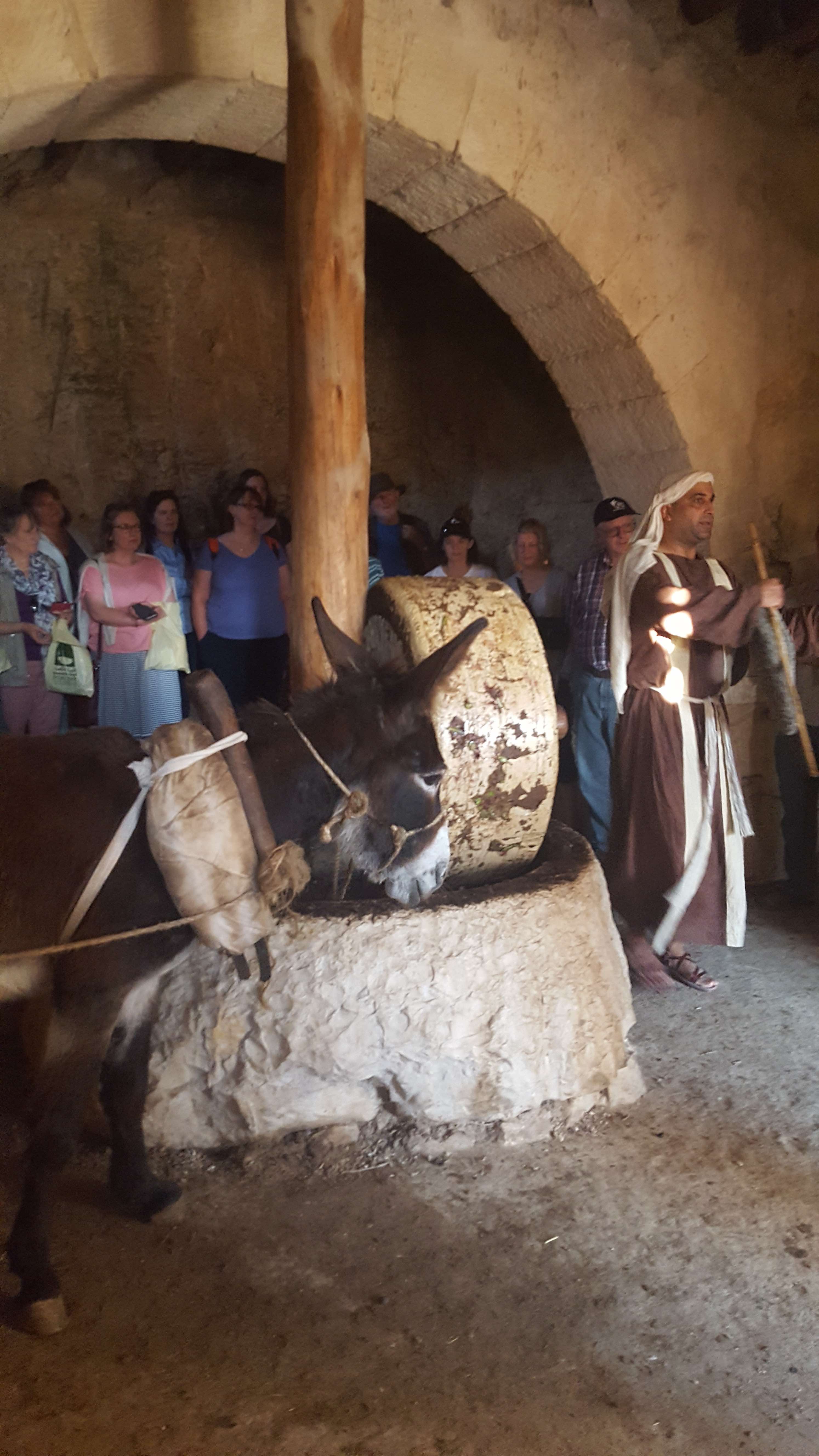 The group with a first century olive press in Nazareth