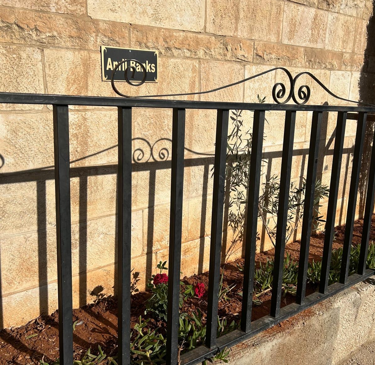 The olive tree and rose bush planted in memory of April Banks and a plaque on the wall.