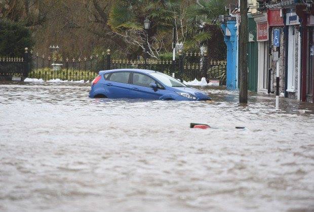 Cork Flooding