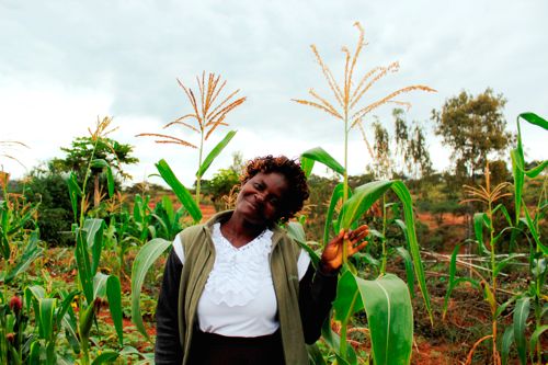 Rodah with her maize